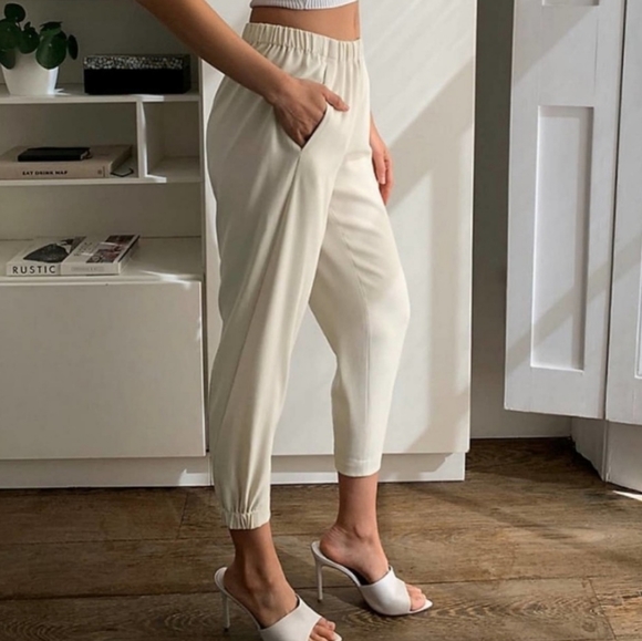 Aritzia Pants - aritzia babaton dexter pants womens size light beige pullon size m